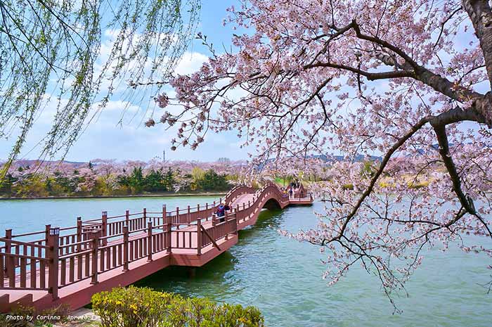 Photography: Ju-Fang, Cheng