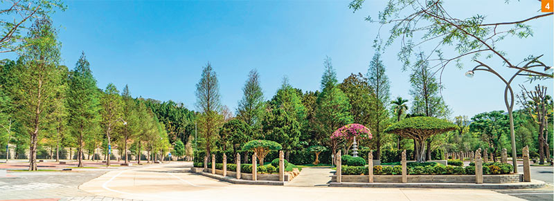 蒼松翠柏